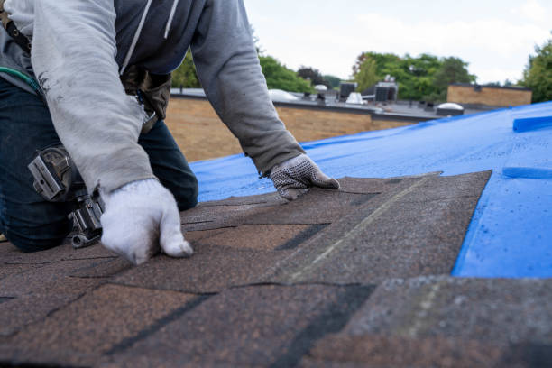 Best Roof Maintenance Services  in Pasadena Hills, MO